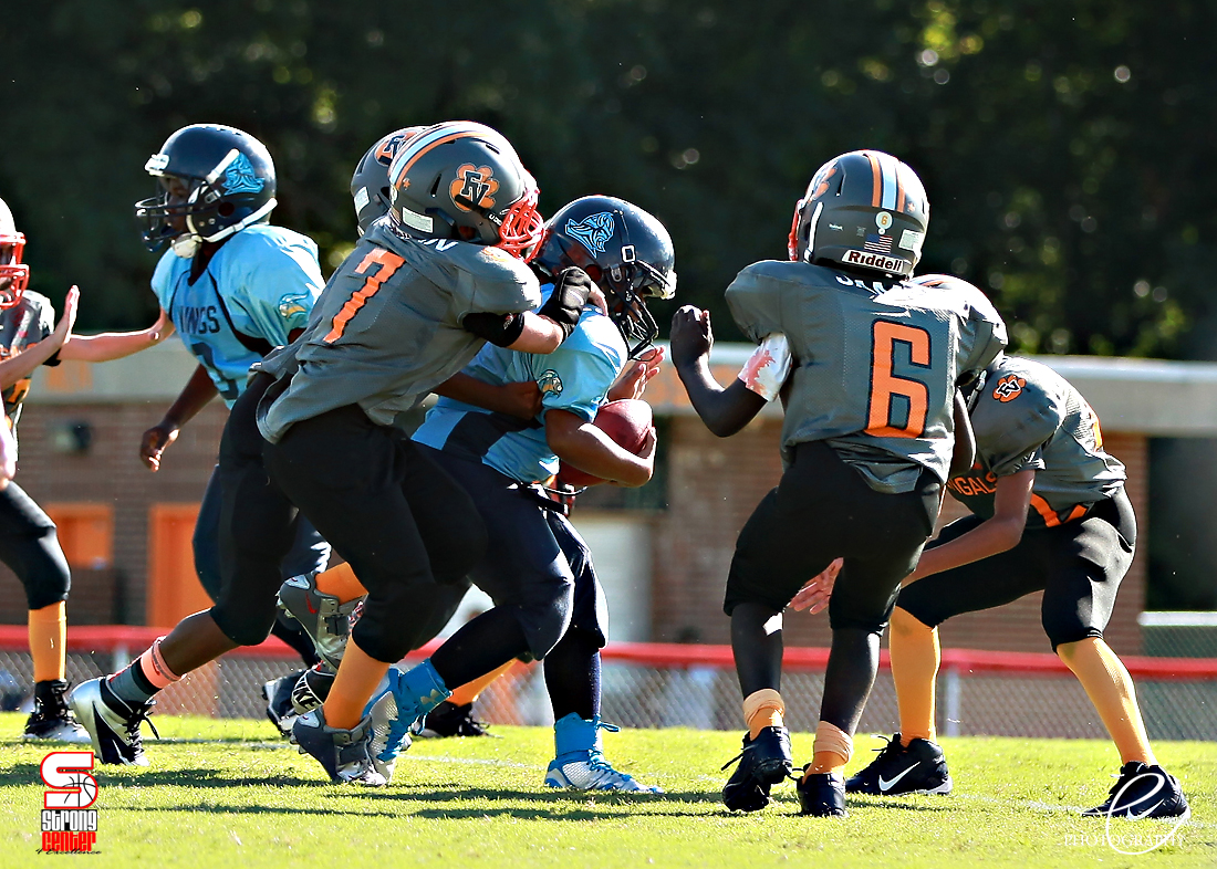 Fuquay Varina Youth Football and Cheer - Vision